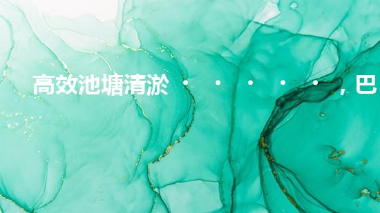高效池塘清淤，巴洛仕設(shè)備助您一臂之力
